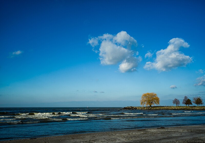 Coastal landscape with golden tree on distant shoreline under blue sky with white clouds.