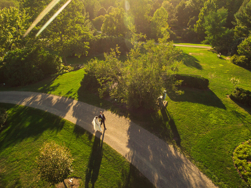Aerial view of a person standing on a winding path through green fields and forest. Golden hour sunlight.