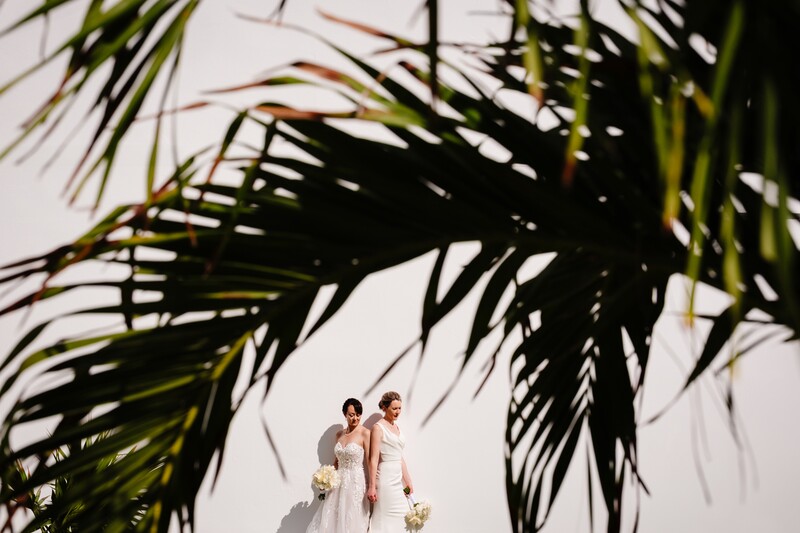 Two people in white wedding attire standing beneath a large palm tree with dramatic shadow on a light background.