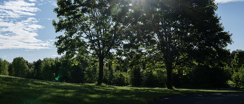 Sunlit landscape with mature trees casting shadows across a green meadow under partly cloudy sky.