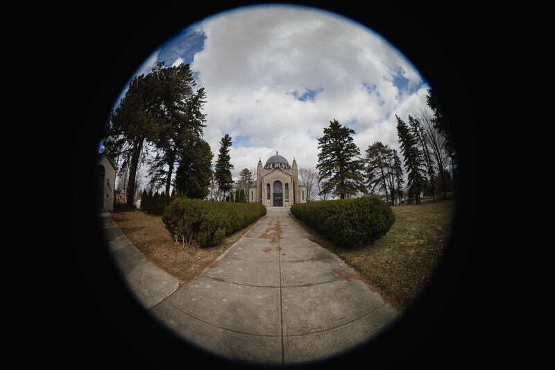 Fisheye view of a symmetrical pathway leading to a domed building framed by tall trees.