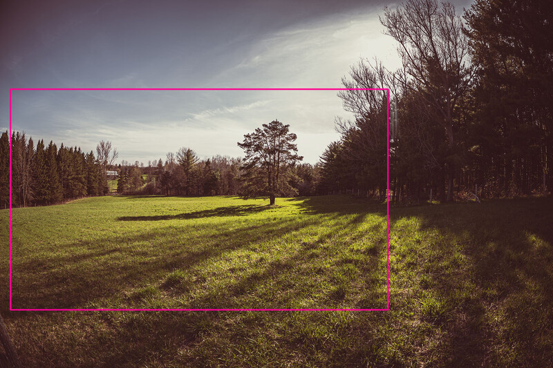 Rural landscape with green field and bare trees framed by bright magenta rectangle overlay.