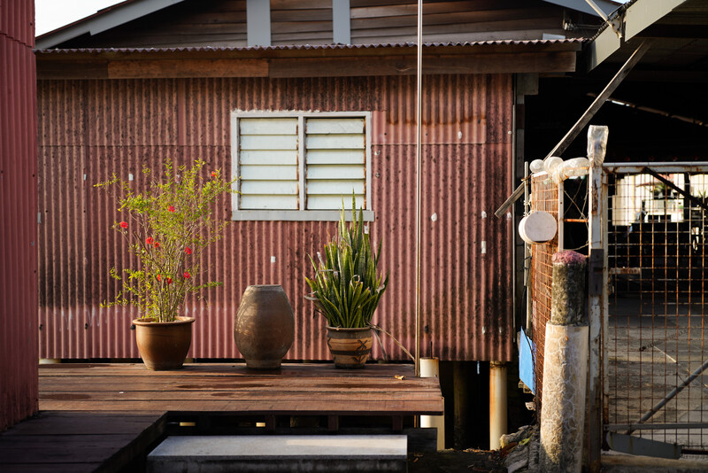 Minimalist composition featuring potted plants on a wooden deck against a corrugated metal building facade.