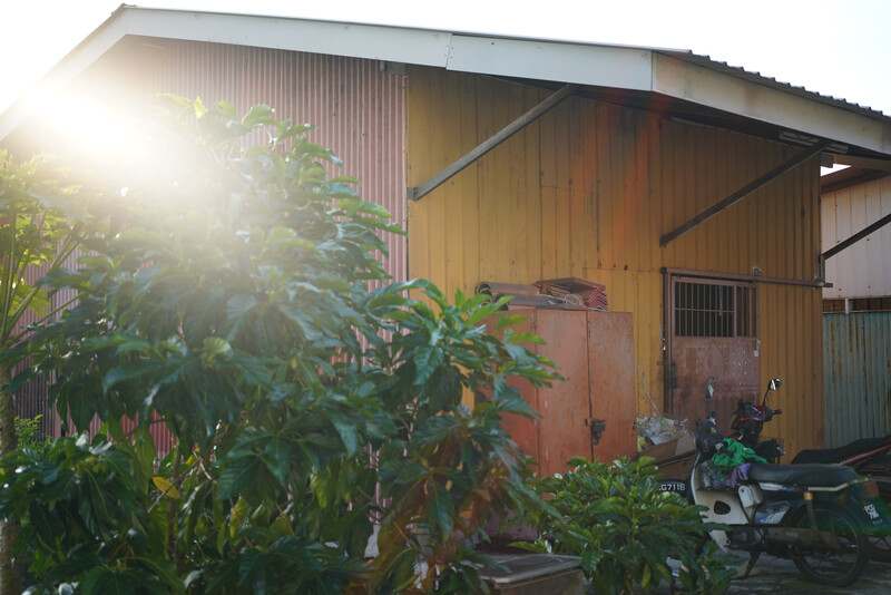 Golden hour sunlight illuminates a corrugated metal workshop with vegetation in the foreground.
