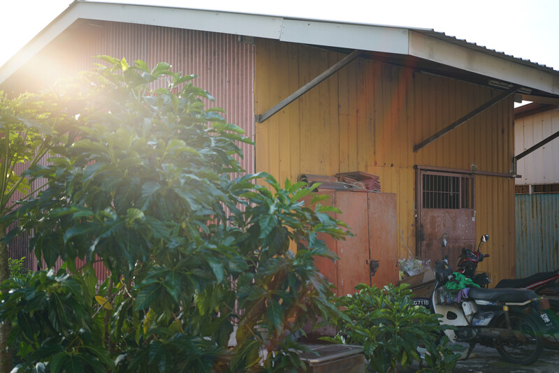 Golden hour sunlight streaming across a corrugated metal warehouse structure with overgrown plants in the foreground.