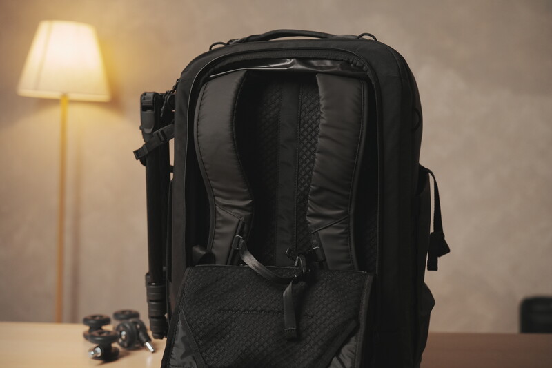 Black camera backpack displayed from behind against a neutral wall with warm lamp lighting.