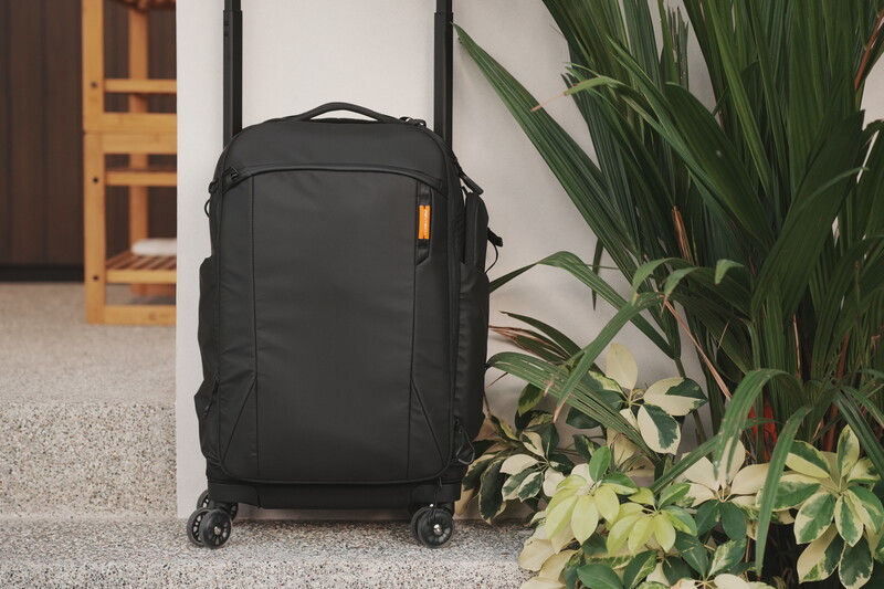 Black carry-on luggage with spinner wheels positioned in a modern hallway near potted plants.