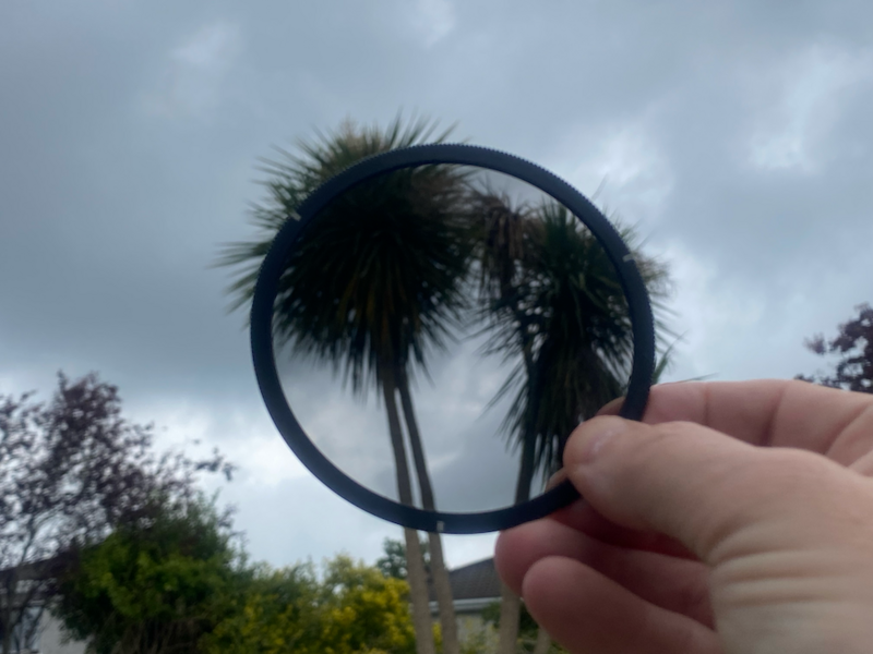 Palm tree framed through a circular lens filter held up to sky.