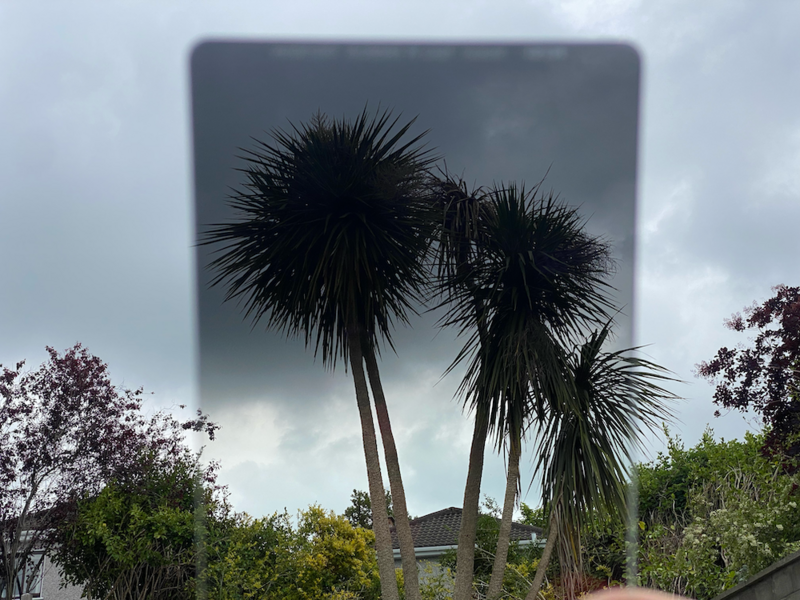 Two tall palm trees silhouetted against a large gray rectangular billboard under overcast sky.