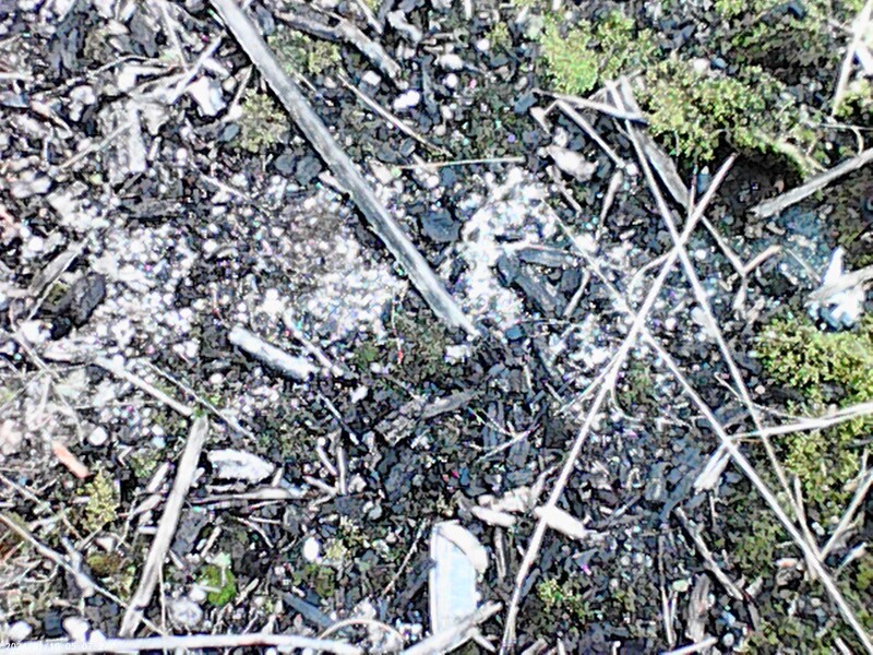 I think this was the photo of found objects on the ground during urban exploration. Hard to tell with the Up-Tech Mini Digital Camera.
