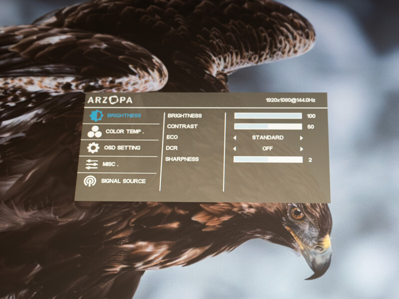 Screenshot of photo editing software displaying an eagle with camera settings panel overlay.