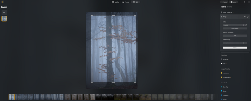 Screenshot of photo editing software displaying a misty forest scene with a bare tree in vertical composition.