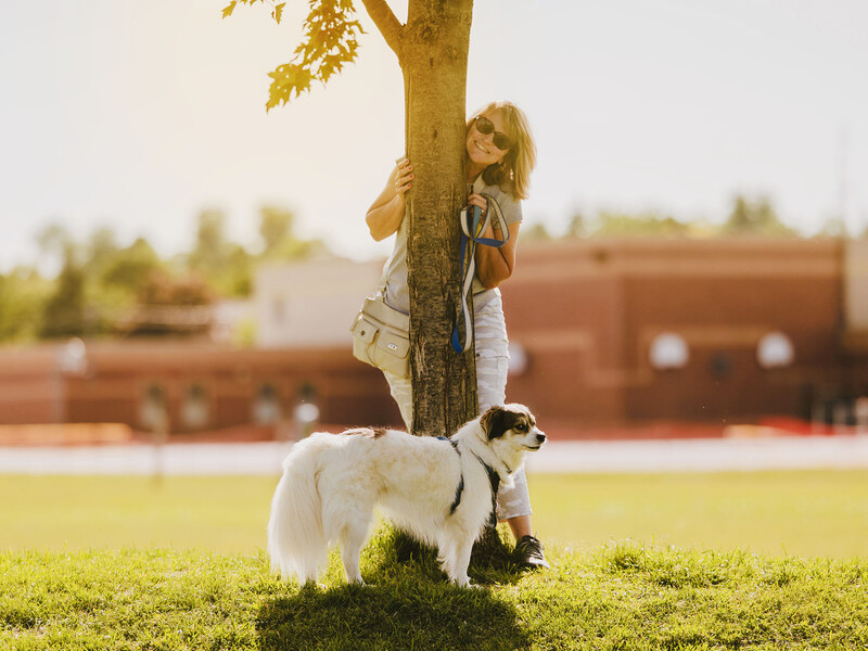 Child climbing a tree trunk while a dog stands nearby on grass.