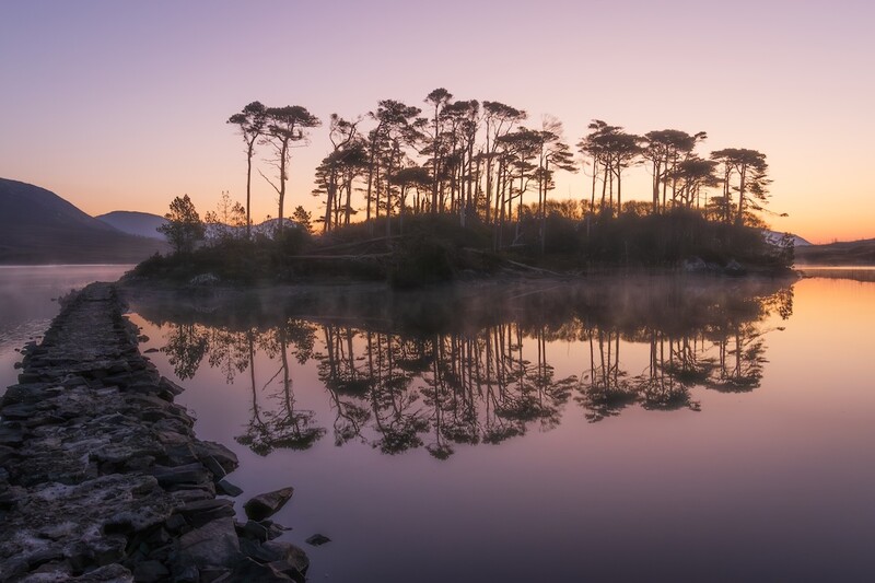 Tall pine trees on a rocky island reflected in still water at sunrise, with mountains in the background.