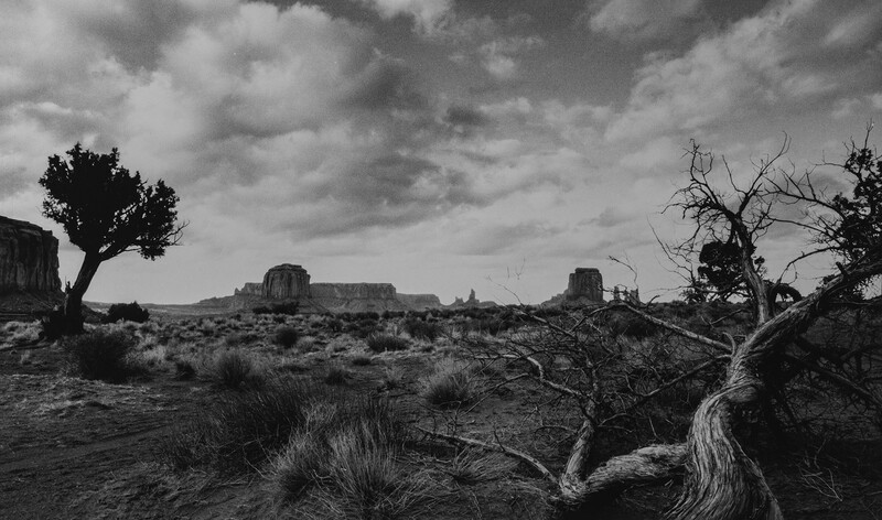 Desert landscape with sparse vegetation, gnarled trees, and distant rock formations under dramatic cloudy sky.