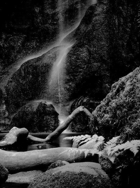 Black and white photograph of a waterfall cascading over moss-covered rocks with a fallen log in the foreground.
