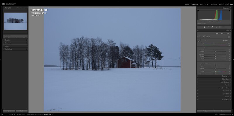 Snowy winter landscape with bare trees, evergreens, and a red cabin in the distance under blue sky.