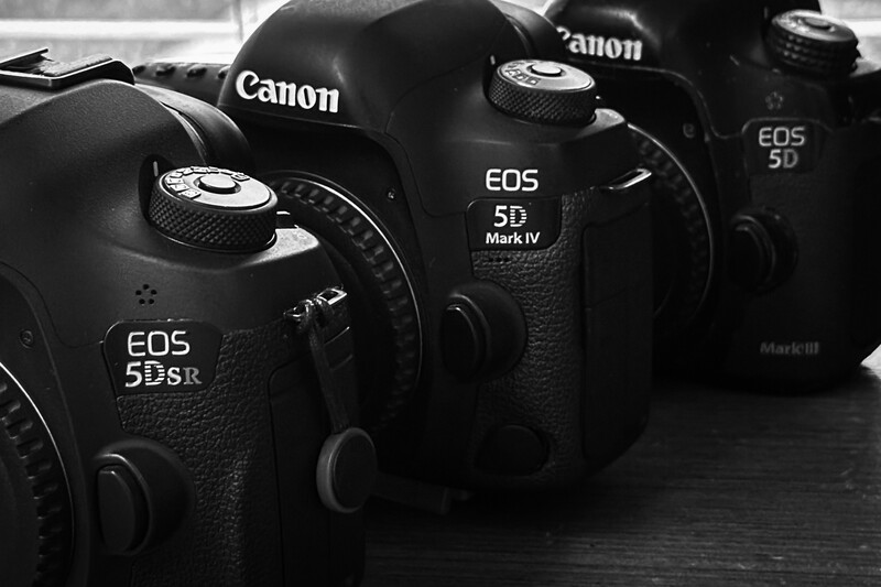 Three Canon EOS DSLR cameras arranged side by side in black and white photography.