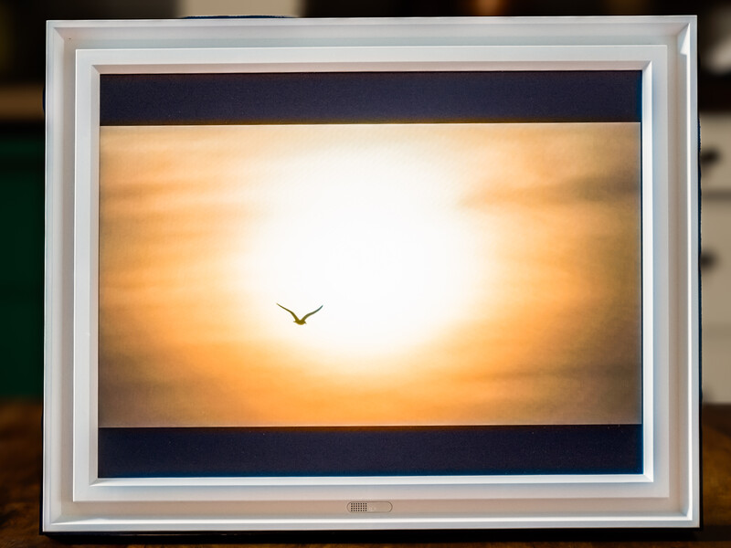 Framed photograph of a bird silhouetted against a bright golden sunset sky with dark horizontal bands above and below.