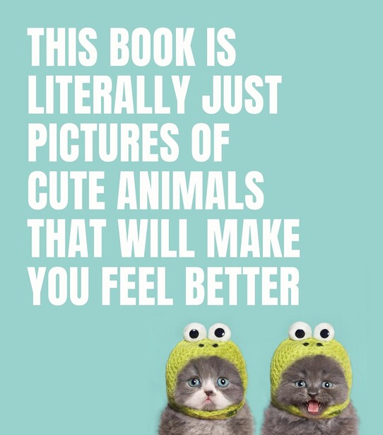 Illustration of two cats wearing yellow frog hats against a turquoise background.