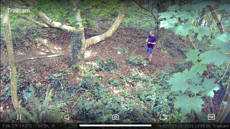 Trail camera footage of a runner jogging through a forested area with moss-covered trees and a turquoise stream visible on the right.