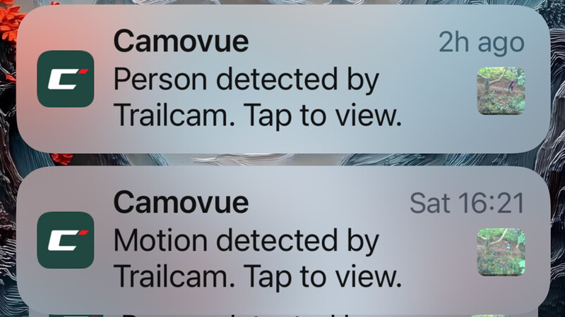 Screenshot of two Camovue trail camera notifications showing person and motion detection alerts.
