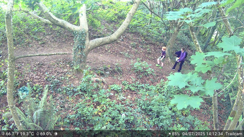 Overhead trail camera view of two hikers walking through a dense forest with moss-covered trees and leaf litter covering the ground.