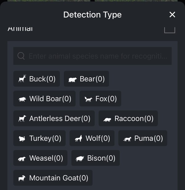 Screenshot of a Detection Type filter menu showing wildlife species selection options with zero detections.