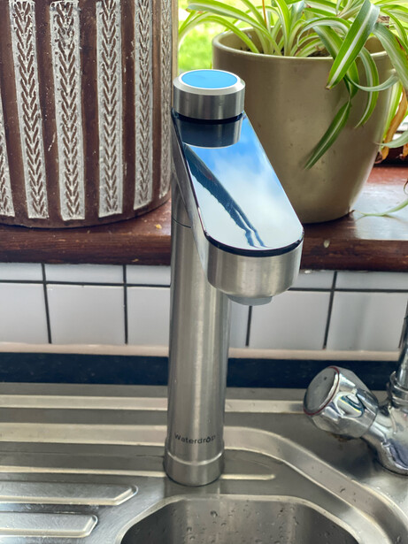 Stainless steel water bottle with blue accents sitting on kitchen sink counter next to potted plants.