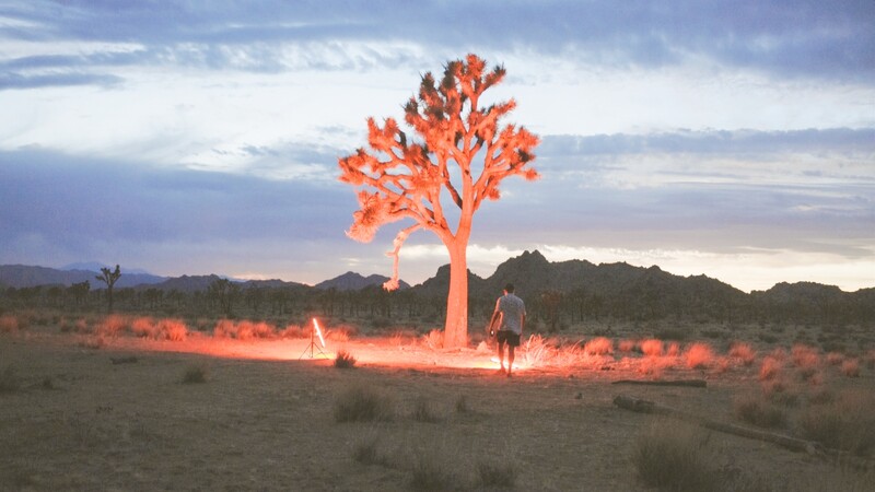 Joshua Tree glowing orange-red at dusk with silhouetted figure standing nearby in desert landscape.