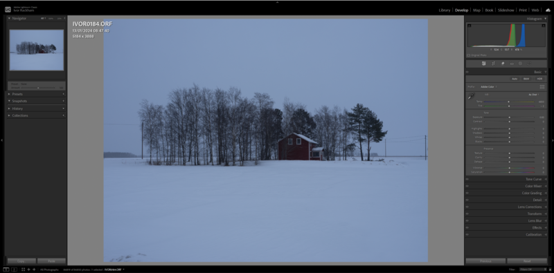 Winter landscape with red cabin surrounded by bare trees in snow-covered field at dusk.