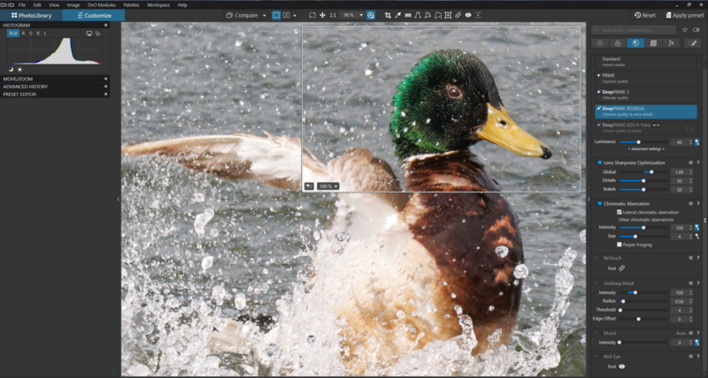 Male mallard duck swimming in water with splashing waves, head turned toward camera.