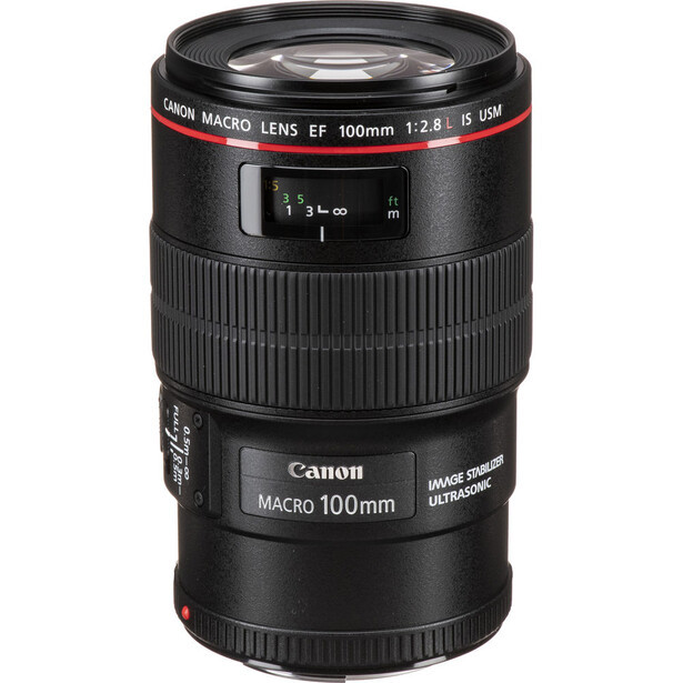 Canon EF 100mm f/2.8 Macro lens with manual focus ring and distance scale visible.