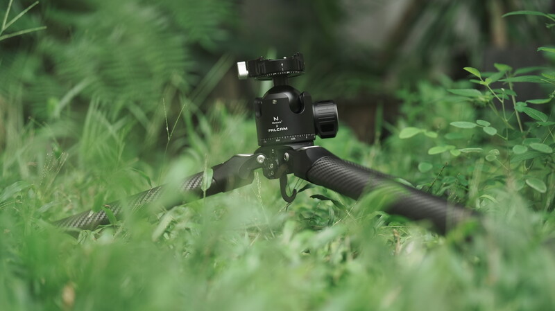 Professional tripod with ball head and pistol grip in dense green foliage.
