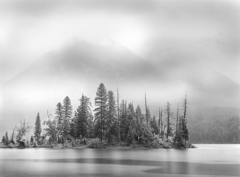 Storm, Holland Lake, Trees