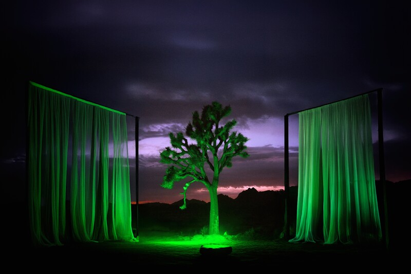 Illuminated tree framed by glowing green curtains with dramatic sunset sky beyond.