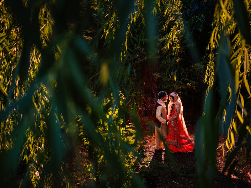 Couple in formal attire embracing among hanging golden-yellow foliage in theatrical lighting.