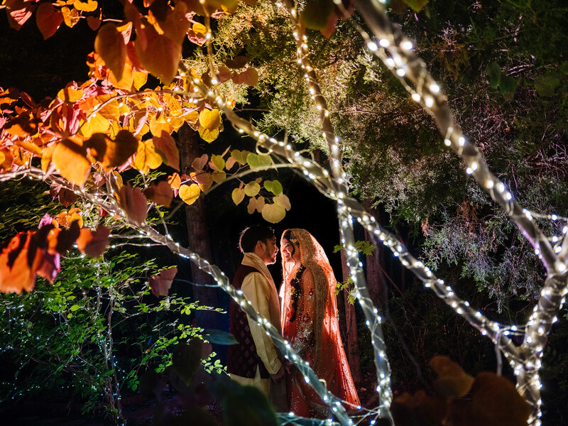 Couple in formal attire framed by autumn foliage and string lights at night.