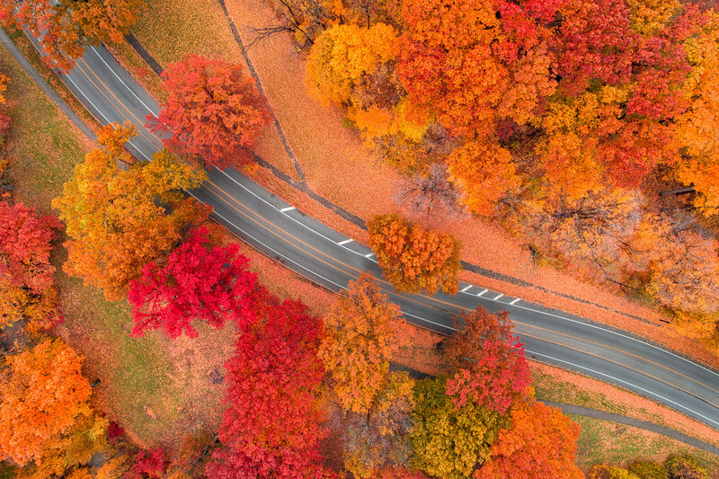 Aerial view of a curved highway cutting through vibrant autumn forest canopy in shades of red, orange, and gold.
