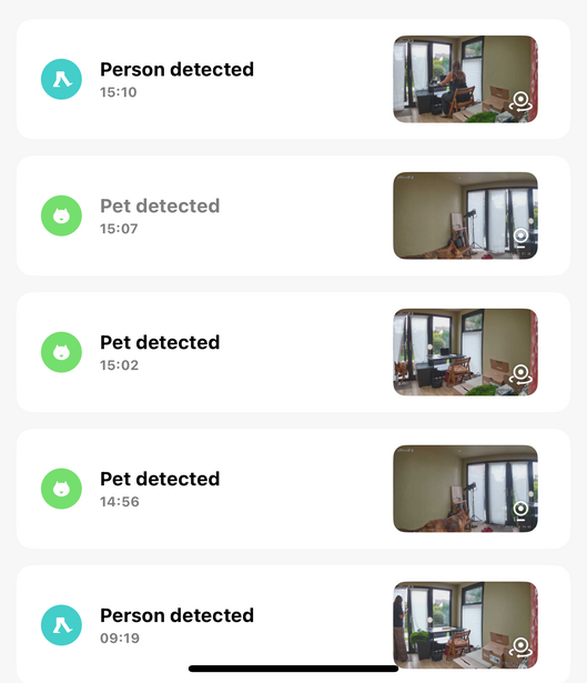 Screenshot of a security camera app showing detection logs with person and pet alerts from a home surveillance system.