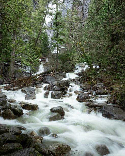 Long exposure photo of a river through a Pacific Northwest forest