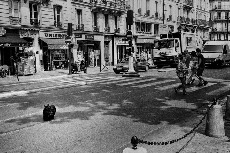 Woman sitting on steps in a Parisian street with chain barriers and storefronts behind her.