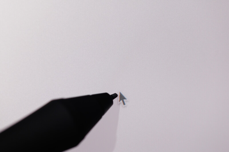 Silhouetted hand holding a small insect against a soft gray background.