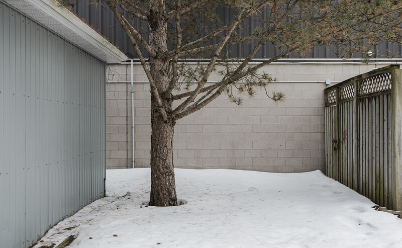 Bare tree in snow-covered courtyard surrounded by concrete block walls and metal gates.