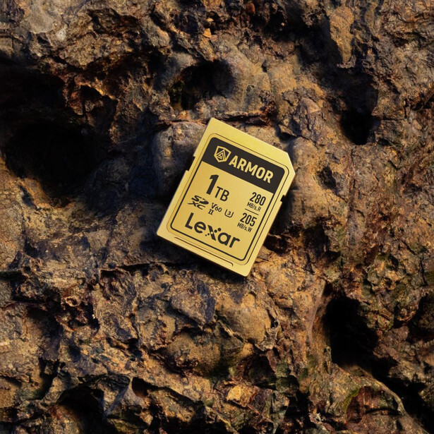 Lexar memory card placed on textured brown stone surface with natural shadows and crevices.