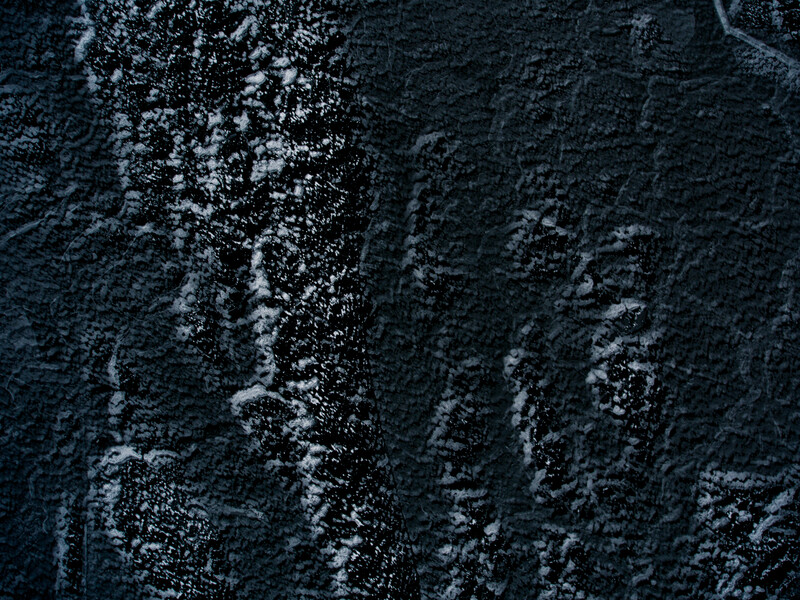 Close-up texture of frost-covered evergreen tree bark with snow accumulation in vertical cracks and ridges.
