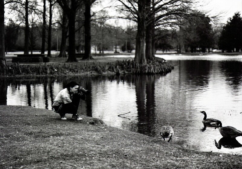 Person crouching at water's edge while ducks swim nearby in a park pond.