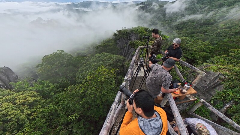 Hikers ascending a wooden staircase on a misty mountain ridge surrounded by dense green forest.