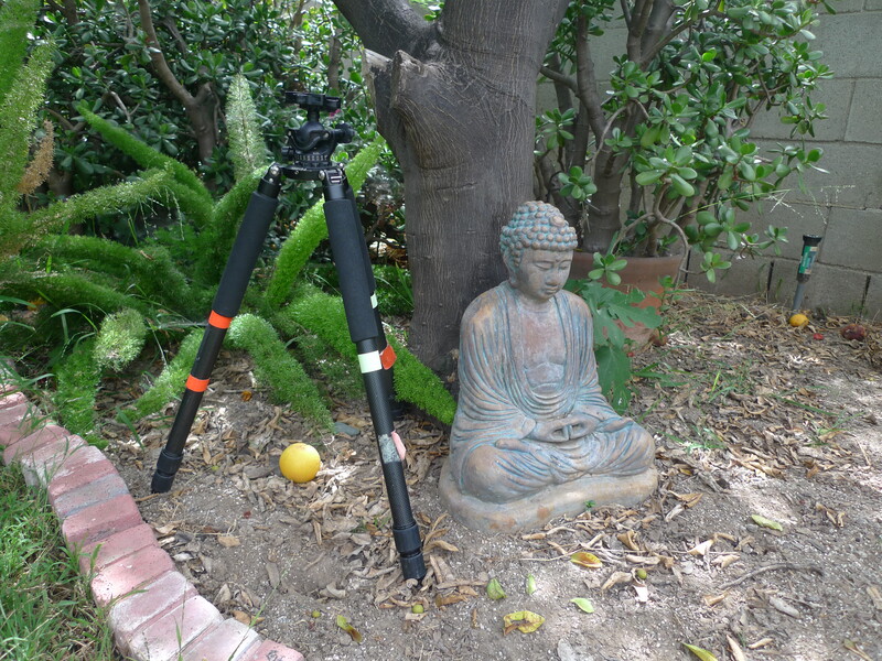Stone Buddha statue in a garden setting with a mountain bike leaning against a tree.