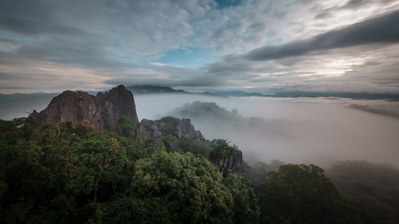 Dramatic rocky peaks rising above a thick fog layer at dawn, with forested slopes and distant mountains.